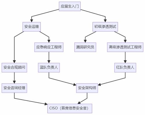 計算機生求職避坑指南 選網絡安全，比卷開發香太多