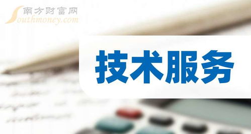 2024年第二季度技術服務公司每股收益排行榜 洞察技術開發(fā)領域的盈利先鋒